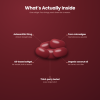 What is actually inside - astaxanthin 12mg from microalgae in an oil-based softgel